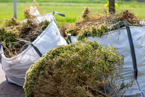 Best Same-Day Junk Removal Services  in Collinsville, CT